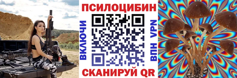 площадка Telegram  Лангепас  Псилоцибиновые грибы GOLDEN TEACHER 